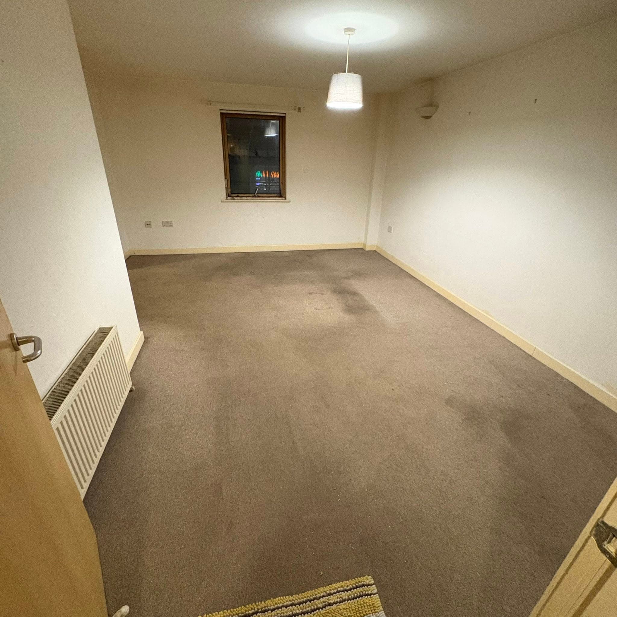 Hoarding clearance photo 4
